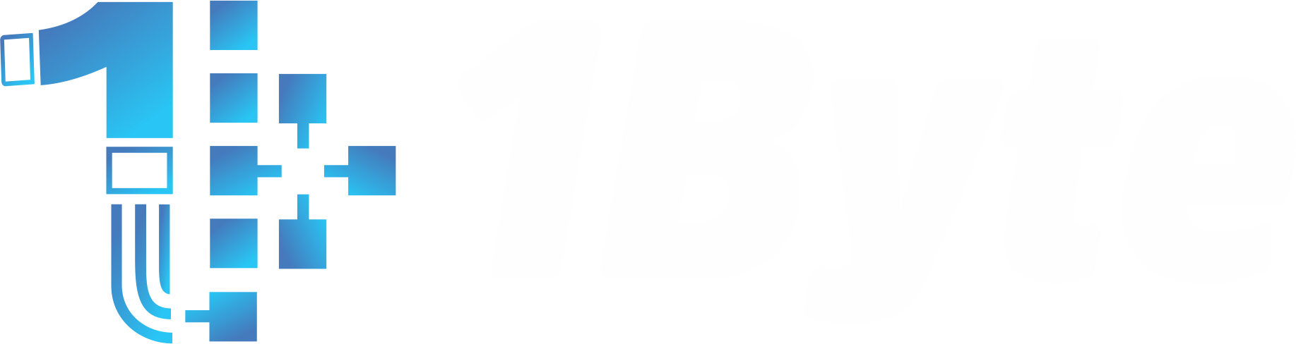 1Byte